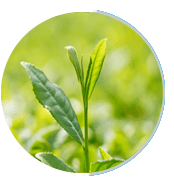 Prosta Peak Ingredients